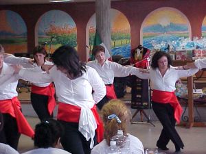 Festa sociale annuale della Comunità Ellenica di Parma e Reggio Emilia Festa sociale annuale della Comunità Ellenica di Parma e Reggio Emilia